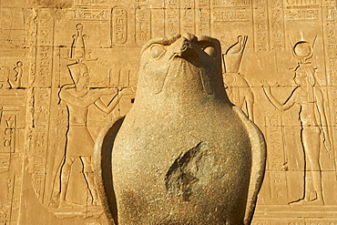 Statue of falcon, Temple of Horus, Edfu, Egypt, North Africa, Africa