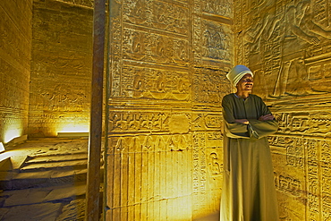 Bas relief on the walls of the Temple of Horus, Edfu, Egypt, North Africa, Africa