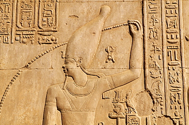 Bas relief, Temple of Sobek and Haroeris, Kom Ombo, Egypt, North Africa, Africa