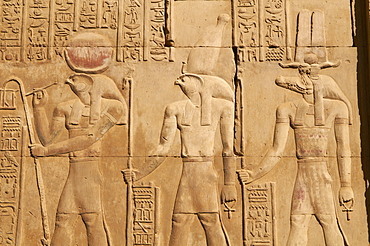 Bas relief, Temple of Sobek and Haroeris, Kom Ombo, Egypt, North Africa, Africa