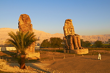 Colossi of Memnon, carved to represent the 18th dynasty pharaoh Amenhotep III, West Bank of the River Nile, Thebes, UNESCO World Heritage Site, Egypt, North Africa, Africa