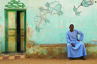 Nubian painted village near Aswan, Egypt, North Africa, Africa