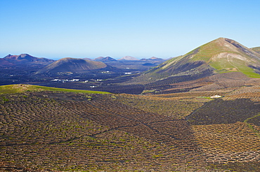 Vineyard on the lava, Biosphere Reserve, Lanzarote, Canary Islands, Spain, Europe