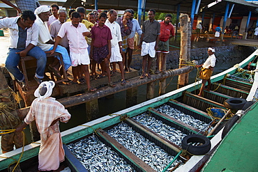 Fishermen, Fort Cochin, Kerala, India, Asia