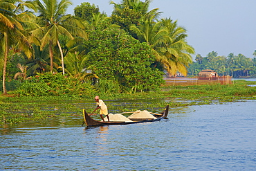 Small boat on the Backwaters, Allepey, Kerala, India, Asia