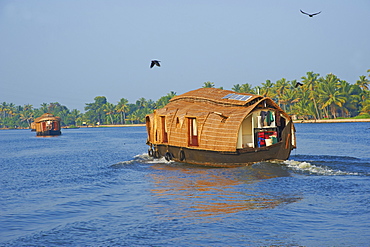 Houseboat for tourists on the backwaters, Allepey, Kerala, India, Asia