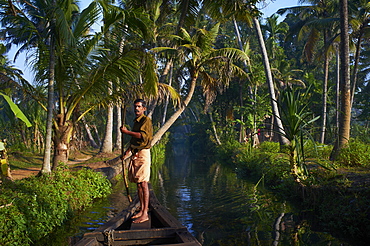 Backwaters, Allepey, Kerala, India, Asia