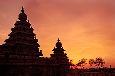 The Shore Temple at sunset, Mamallapuram (Mahabalipuram), UNESCO World Heritage Site, Tamil Nadu, India, Asia