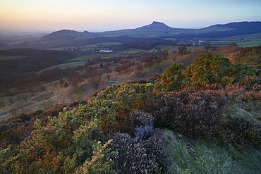 A spring evening view from Gribdale Gate across to Roseberry Topping, North Yorkshire Moors, North Yorkshire, Yorkshire, England, United Kingdom, Europe