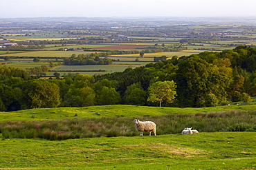 A view across the Cotswold countryside from Dovers Hill near Chipping Camden, Gloucestershire, The Cotswolds, England, United Kingdom, Europe