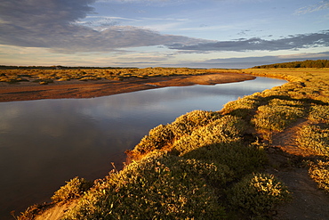 Sunset at Holkham Nature Reserve, Holkham, Norfolk, England, United Kingdom, Europe