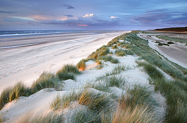 Beautiful light on a summer evening at Holkham Bay, Norfolk, England, United Kingdom, Europe