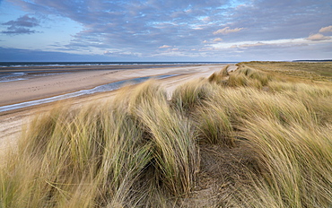 A spring evening at Holkham Bay, Norfolk, England