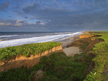 The heavily eroded cliffs at Happisburgh, Norfolk, England, United Kingdom, Europe