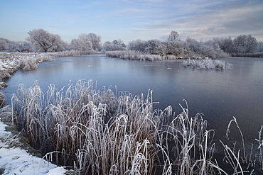 A beautiful hoar frost on a December afternoon at Bure Park in Great Yarmouth, Norfolk, England, United Kingdom, Europe