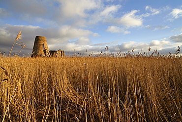 The remains of the 14th century St. Benet's Abbey and the windmill built within its walls near Ludham, Norfolk, England, United Kingdom, Europe