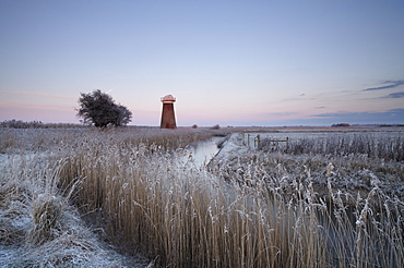 A frosty morning in the Norfolk Broads at West Somerton, Norfolk, England, United Kingdom, Europe