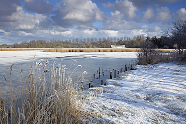 A cold winter day in the Norfolk Broads showing a frozen Horsey Mere, Horsey, Norfolk, England, United Kingdom, Europe