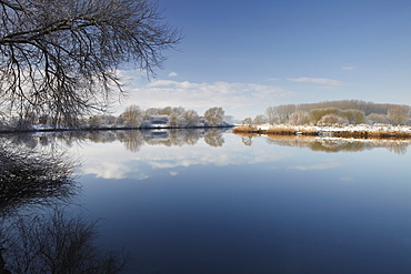 A winter scene in the Norfolk Broads beside the River Yare at Surlingham, Norfolk, England, United Kingdom, Europe