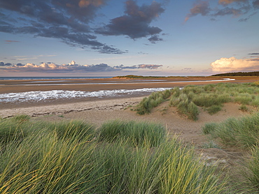 Beautiful light on a late summer evening at Holkham Bay, Norfolk, England, United Kingdom, Europe