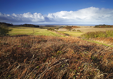 A bright winter day looking towards the North Sea at Salthouse Heath, Norfolk, England, United Kingdom, Europe