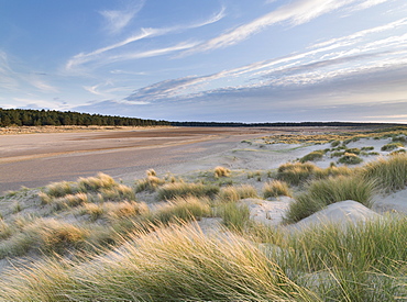 Beautiful evening light at Holkham Bay, Norfolk, England, United Kingdom, Europe