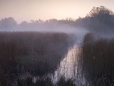 A misty morning at How Hill, Norfolk Broads, Norfolk, England, United Kingdom, Europe