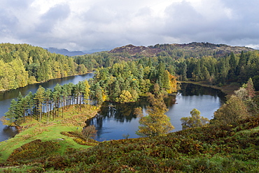 An autumn view of Tarn Hows, Lake District National Park, Cumbria, England, United Kingdom, Europe