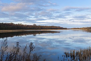 A view of Ormesby Broad in the Norfolk Broads, Norfolk, England, United Kingdom, Europe