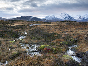 A view of the Black Mount and Rannoch Moor, Argyll, Scotland, United Kingdom, Europe