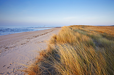 A sunny spring evening at Holkham Bay on the North Norfolk coast, Norfolk, England, United Kingdom, Europe