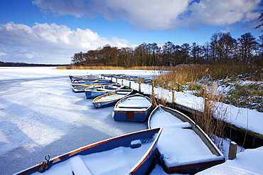 Ormersby Little Broad, part of the Trinity Broads of the Norfolk Broads in wintry conditions, Norfolk, England, United Kingdom, Europe