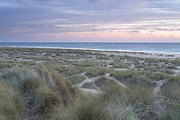 The dunes and beach at Winterton on Sea, Norfolk, England, United Kingdom, Europe