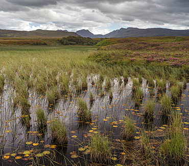 A view towards the Coigach mountains across Loch Garvie, Ross and Cromarty, Highlands, Scotland, United Kingdom, Europe