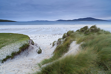 Looking across the dunes and beach towards Taransay from Seilebost, Isle of Harris, Outer Hebrides, Scotland, United Kingdom, Europe