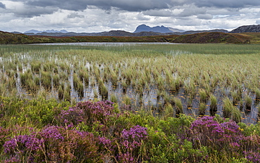 Suilven looms in the distance in this view across Loch Garvie near Achnahaird, Ross and Cromarty, Highlands, Scotland, United Kingdom, Europe