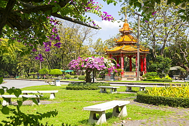 Lumphini Park, Ratchadamri Road, Bangkok, Thailand, Southeast Asia, Asia