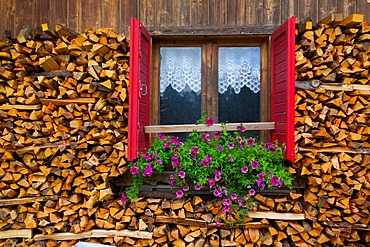 Firewood, Vigo di Fassa, Fassa Valley, Trento Province, Trentino-Alto Adige/South Tyrol, Italian Dolomites, Italy, Europe