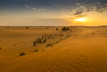 Sunrise over sand dunes in the Dubai Desert, Dubai, United Arab Emirates, Middle East