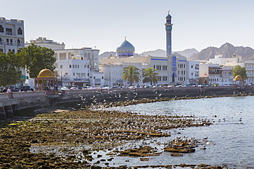 View of the Al Rasool Al Adham Mosque and Corniche at Muttrah, Muscat, Oman, Middle East