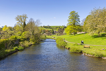 The River Wye in Bakewell in springtime, Derbyshire Dales, Derbyshire, England, United Kingdom, Europe