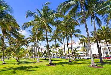 Ocean Drive and Art Deco architecture looking through palm trees, Miami Beach, Miami, Florida, United States of America, North America