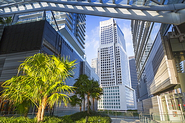 View from Brickell City Centre shopping mall in Downtown Miami, Miami, Florida, United States of America, North America