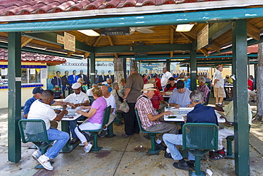 Dominos Club on 8th Street in Little Havana, Miami, Florida, United States of America, North America