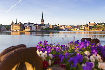 View of Riddarholmen and Sodermalm at dawn from near Town Hall, Stockholm, Sweden, Scandinavia, Europe