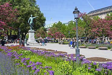 View of flowers and statue in Kungstradgarden, Stockholm, Sweden, Scandinavia, Europe