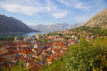 View over Old Town, Kotor, UNESCO World Heritage Site, Montenegro, Europe