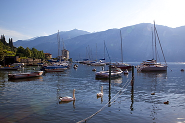 Boat harbour and lake, Bellagio, Lake Como, Lombardy, Italian Lakes, Italy, Europe