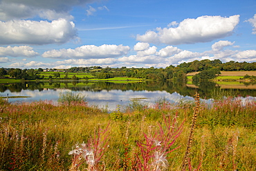 Ogston Reservoir, Derbyshire, England, United Kingdom, Europe