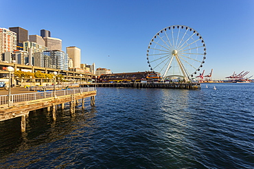 Seattle Great wheel on Pier 57 during the golden hour before sunset, Alaskan Way, Downtown, Seattle, Washington State, United States of America, North America